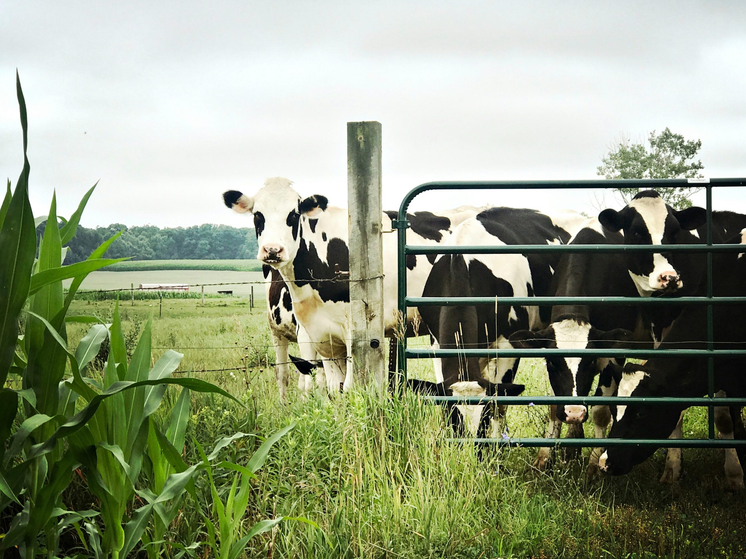 Hello World Featured Image